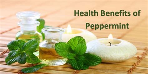 Know About The Health Benefits Of Peppermint