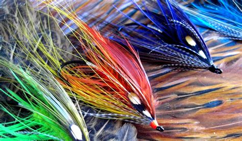 A flock of birds fly/flies by every day. Salmon and Steelhead SPEY Flies