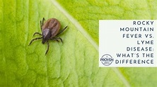 Rocky Mountain Fever Vs. Lyme Disease: What’s the Difference - Proven ...