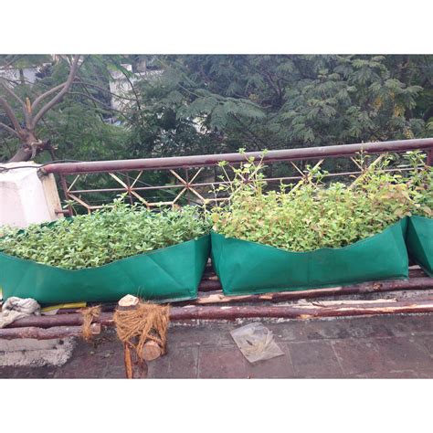 Veg Garden Ready Combo Offers Hdpe Grow Bag Potting Soil Plant