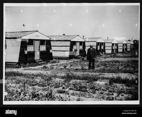 Lady Carpenters Live In These Cosy Little Huts And Call Them By