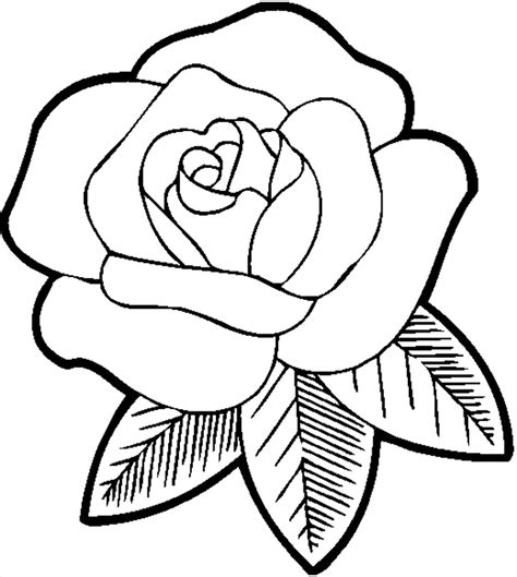 Pencil Drawing Flowers Step Step At Rose Coloring Pages Easy
