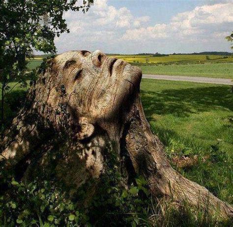 12 Artworks Where People Turn Into Trees And Trees Turn Into People