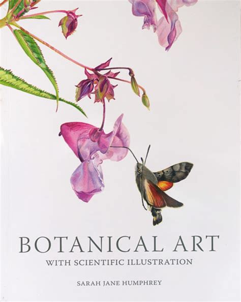 News About Botanical Art And For Botanical Artists Botanical Art