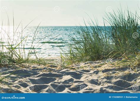 Sandy Beach With Sand Dunes And Grass At Sea Coast In Sunny Noon Stock