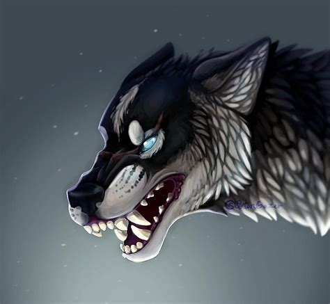 Wolf Snarling Pfp By Stargazerkittycat On Deviantart