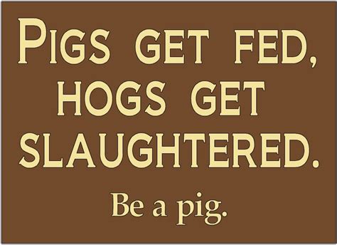 Custom Order Pigs Get Fed Hogs Get Slaughtered