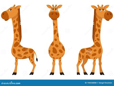 Female Giraffe In Different Poses Stock Illustration Illustration Of