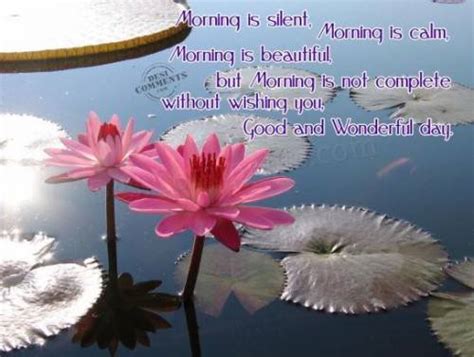 Quotes About Lily Pads Quotesgram