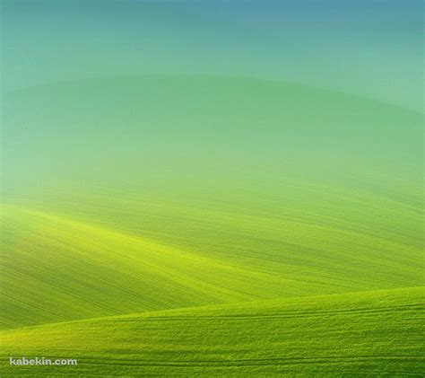 綺麗な緑の丘陵のandroid用のスマホ壁紙960 X 854 壁紙キングダム