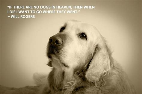 Famous Dog Quotes And Sayings Quotesgram