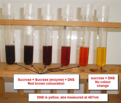 Bio Resource Estimation Of Reducing Sugar By Dinitrosalicylic Acid Method