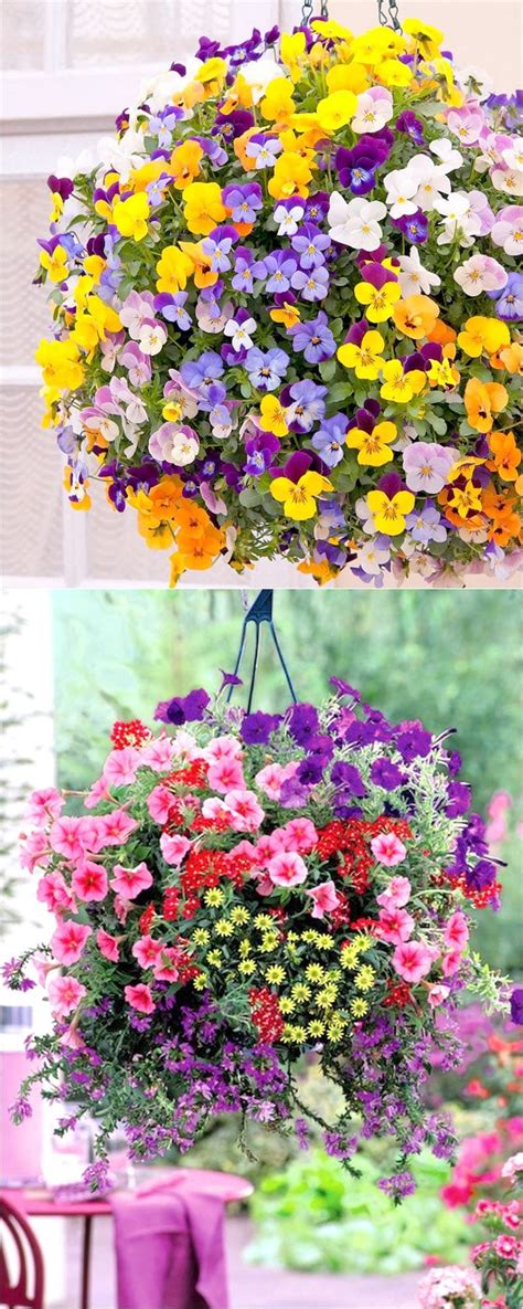 Hanging baskets can be as simple as a single type of plant, or you can mix and match a variety of flowers for maximum impact. 15 Beautiful Flower Hanging Baskets & Best Plant Lists ...
