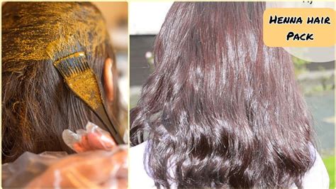 Henna Hair Pack For Hair Growth How To Get Perfect Hair Dye Natural Hair Dye Mehndi Hair