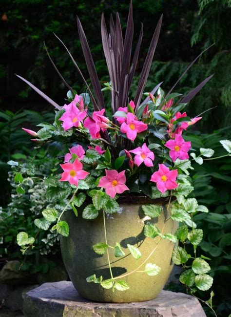 Container Gardening Flowers