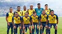 FIFA World Cup 2022: Ecuador Team Analysis | Sports Digest