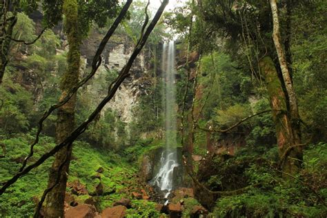 Salto Encantado La Joya Escondida De Misiones MisionesOnline