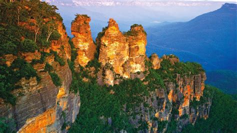 Senior australian of the year saprofessor richard bruggemann sadr david squirrell sapamela catcheside sapeter mungkuri oam. Blue Mountains Nature and Wildlife Day Tour from Sydney ...