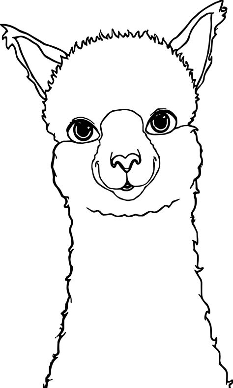 Learn how to draw the llama from fortnite. Alpaca Drawing Coloring Page | Animal coloring pages ...