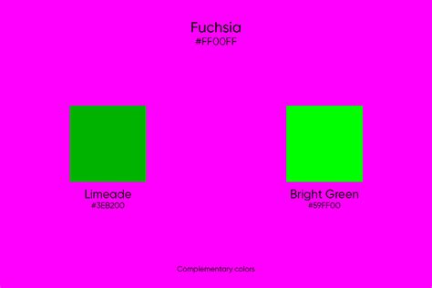 Fuchsia Color Its Meaning Similar Colors And Codes Picsart Blog