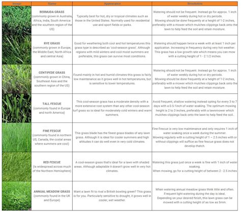 Everything You Need To Know About Grass Flymo