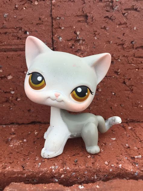 Lps Grey Short Haired Cat 138 Brown Eye Lps Cats Lps Pets Lps
