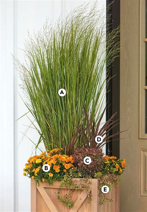 31 Stunning Fall Container Garden Ideas To Try Right Now Fall