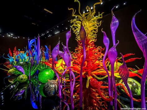 Chihuly Wallpaper 51 Images