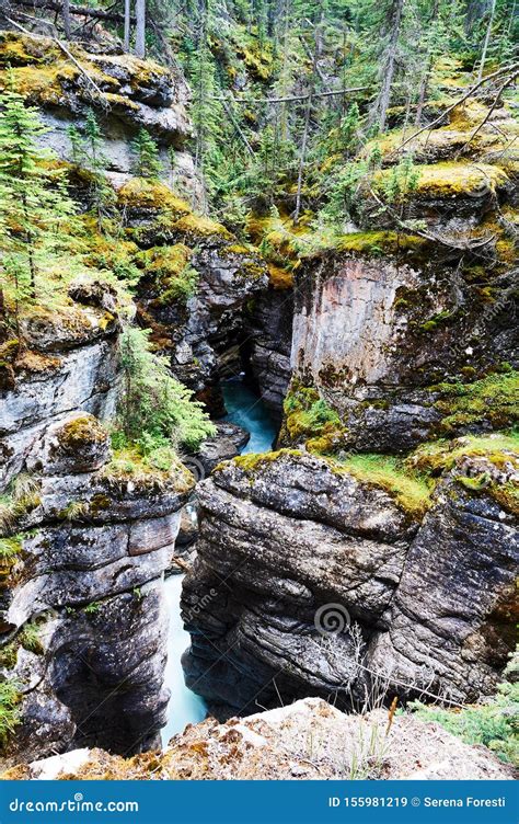 Athabasca Falls In The Canadian Rockies Stock Image Image Of Nature