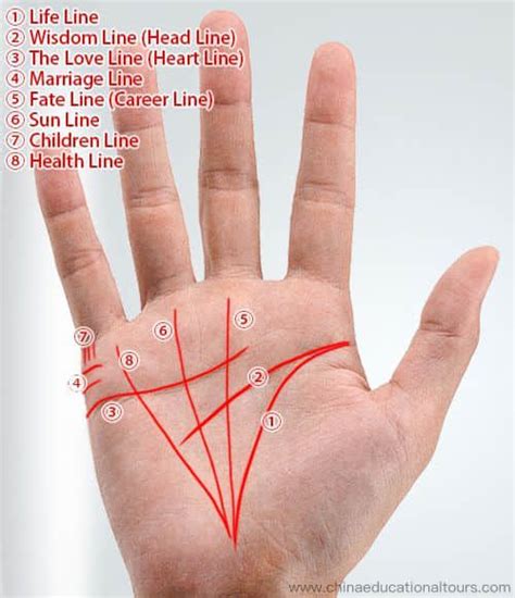 How Chinese Palmistry Works Palm Lines Meaning Palm Reading Guide