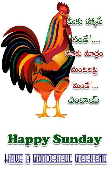 Happy Sunday Saved By Sriram Good Morning Sunday Images Nice Good