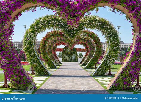 Flower Arches In The Form Of Hearts In A Beautiful Park Editorial Stock