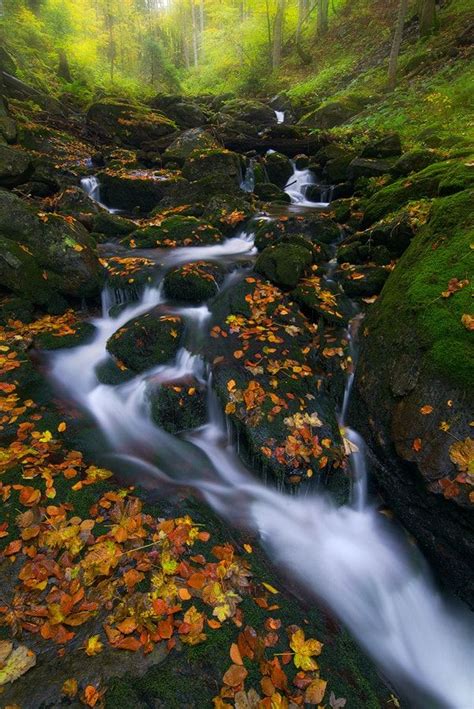 Autumn Creek Taken At National Park Bavarian Forest Magical Forest