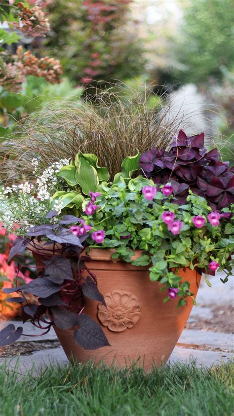 Create This Beautiful Shade Container Garden For Your Home This Season