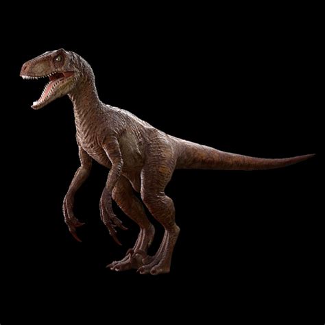 Velociraptor Jurassic Park 3d Ma