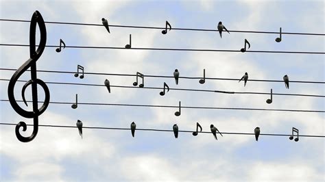 The chords for singing are just these notes played or sung together in various combinations. How To Read Music Notes For Singing (Tips) - Improve Singing Online
