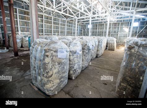 Wool Production Rio Verde Chile South America Stock Photo Alamy