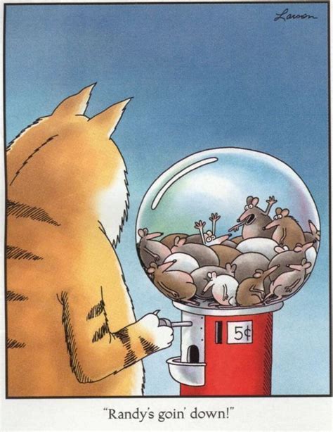 The Best Far Side Comics For Cat Lovers Gary Larson Cartoons Far