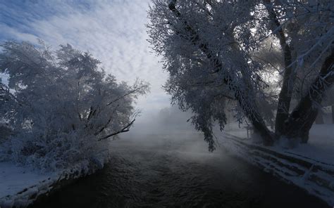 Nature Landscape Mist Snow River Trees Shrubs Winter Clouds