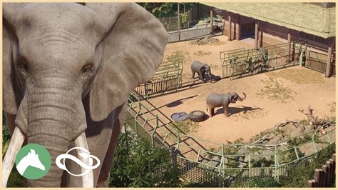 African Elephant Habitat Desert Adventure Park Planet Zoo Youtube