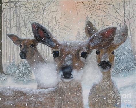 Deer In The Snowy Woods Painting By Mary Hughes