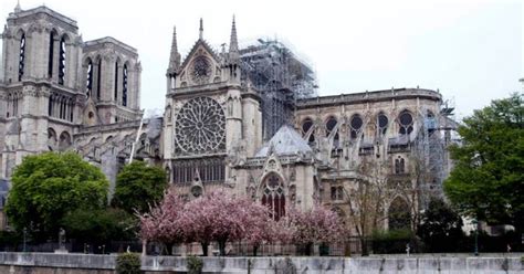 Booking.com has been visited by 1m+ users in the past month Notre-Dame de Paris: practical information and what you need to know