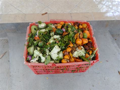 Sampah Makanan Definisi Penyebab Dan Penanggulangannya · Yayasan