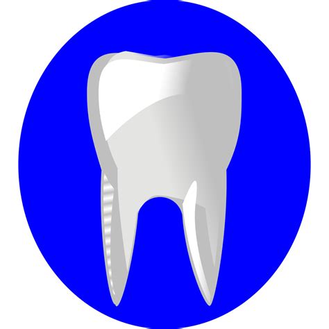 Tooth Clipart Png Free Logo Image