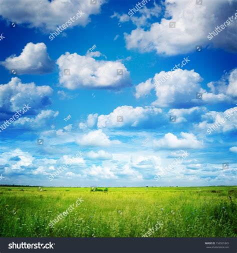Green Field And Blue Sky Stock Photo 156501845 Shutterstock