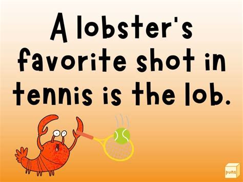 40 Funny Lobster Puns Box Of Puns