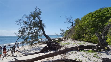 Trip mancing pulau batu putih memang terkenal dgn jigging dan casting tp hari yang kami mancing pagi2 dah ribut (barat) tengah. Gambar : pantai, putih, pulau, hijau, pohon, laut, kayu ...