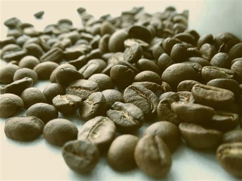Fresh Coffee Grains Stock Photo Image Of Wallpaper Background 83883094