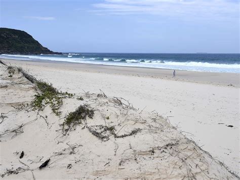 Birdie Beach Bodies Of Man And Woman Pulled From Water On Central