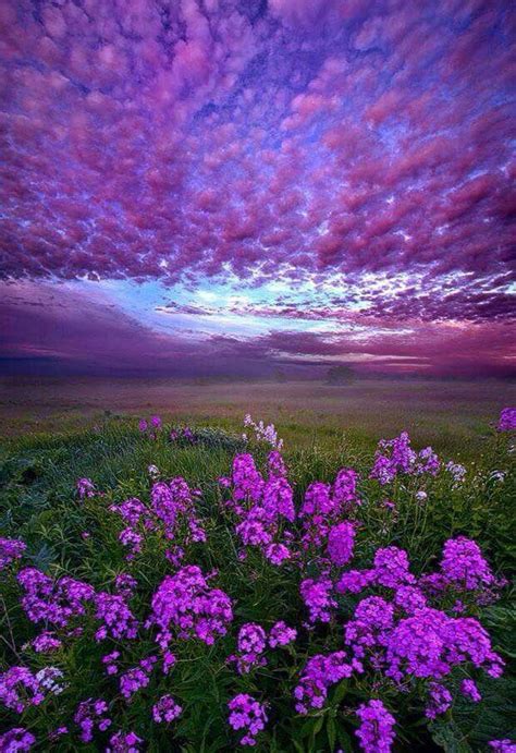 Pin By Melissa Kiger Mcartor On Purple Royale Beautiful Landscapes